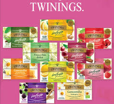 INFUSO TWININGS RIBES N. GIN&VAN 25 PZ