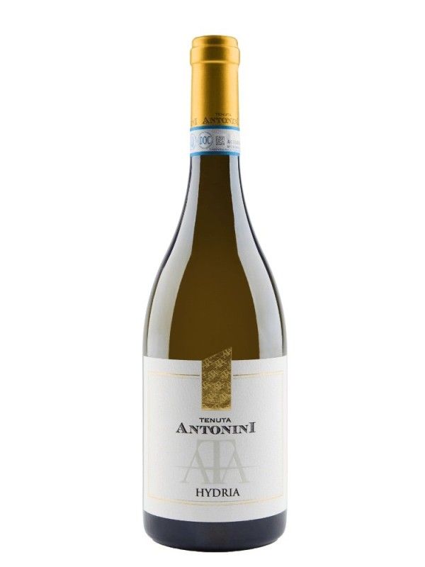 ANTONINI PECORINO D'ABRUZZO DOC CL75
