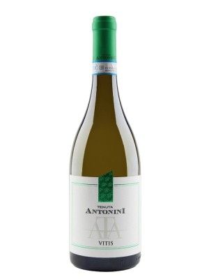ANTONINI PASSERINA D'ABRUZZO DOC CL75