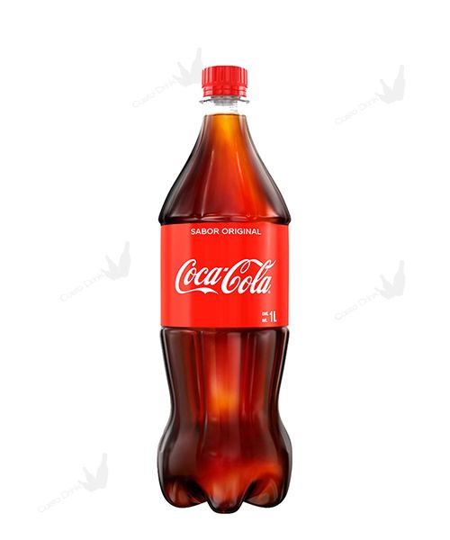 COCA COLA PLASTICA CL.100 X 6 PZ.