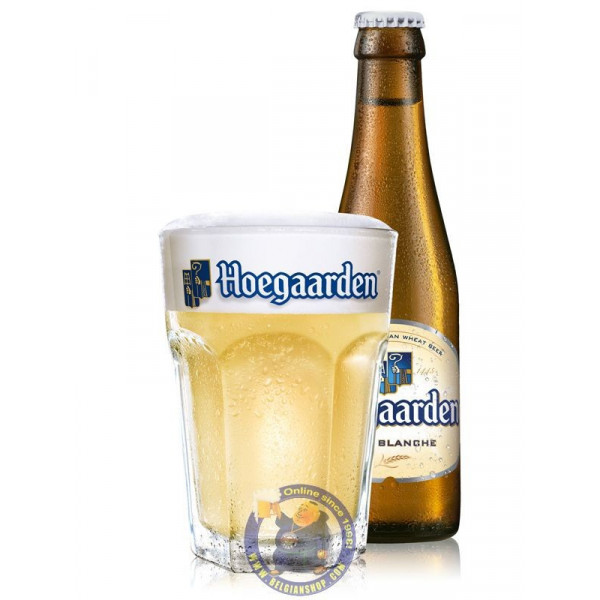 HOEGAARDEN CL 33 X 24 PZ.