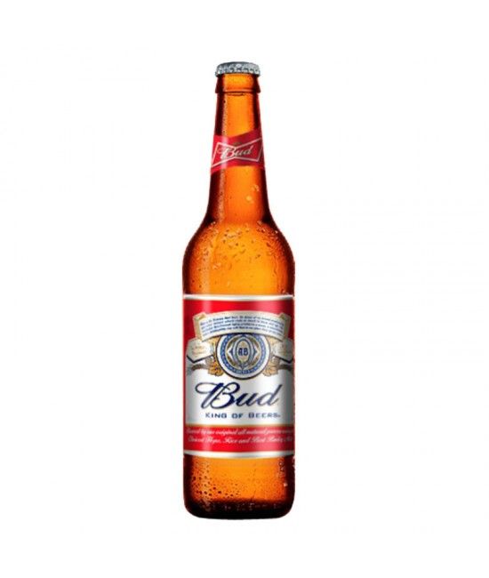 BUD BIRRA CL 33 X 24 PZ